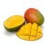 Tropical Energy